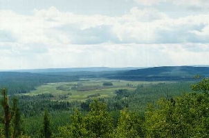 La Sibrie de la Tunguska, un paysage calme et tendu, jusqu' ce que...